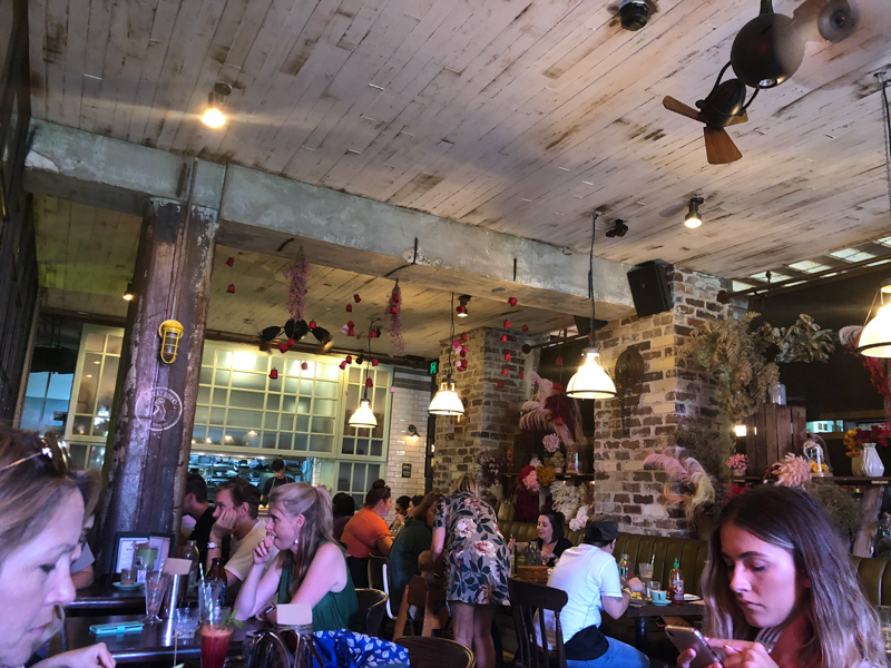 【202002 澳洲樹熊之旅】Day 7.1 – The Grounds of Alexandria